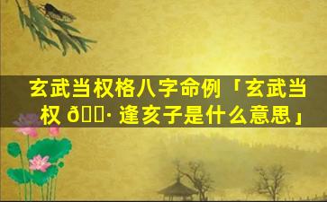 玄武当权格八字命例「玄武当权 🌷 逢亥子是什么意思」